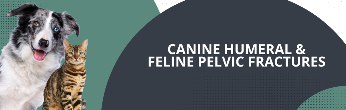 Canine Humeral and Feline Pelvic Fractures Workshop