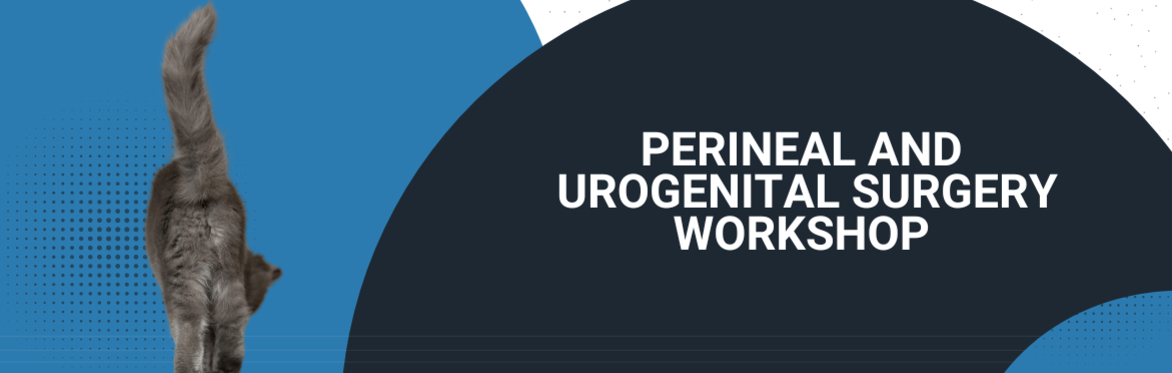 Perineal and Urogenital Surgery Workshop 2026