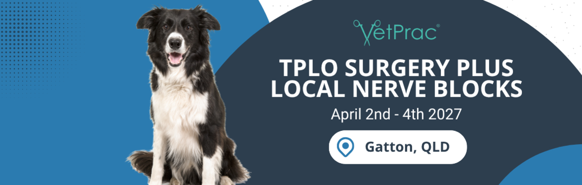 TPLO Surgery plus Local Nerve Blocks