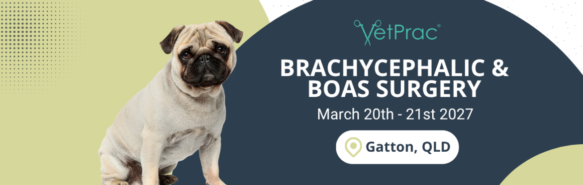 Brachycephalic & BOAS Surgery Workshop