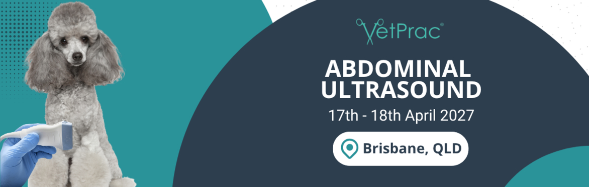 Abdominal Ultrasound Brisbane