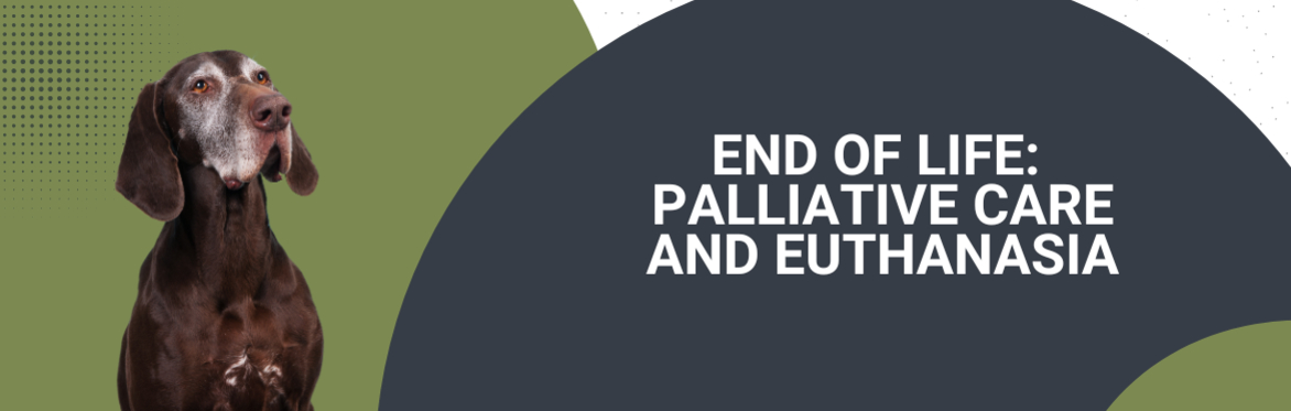 End of Life Palliative Care and Euthanasia