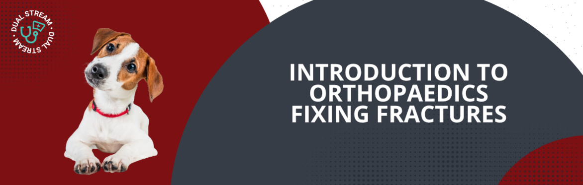 Introduction to Orthopaedics Workshop Fixing Fractures 2026
