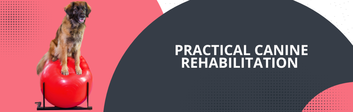 Practical Canine Rehabilitation Workshop 2026