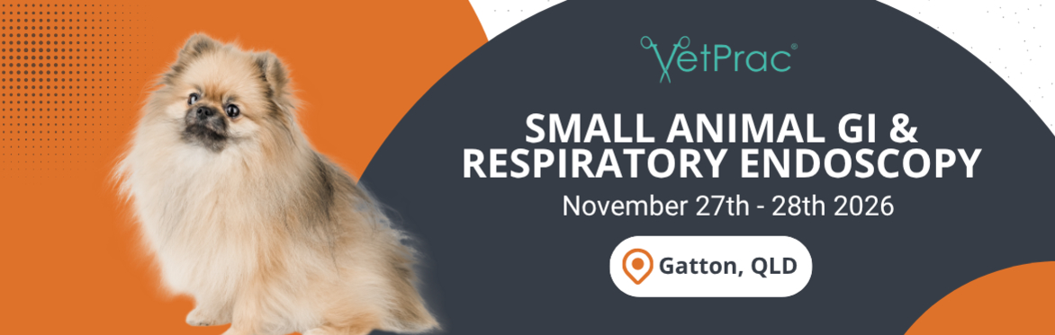 Small Animal GI & Respiratory Endoscopy