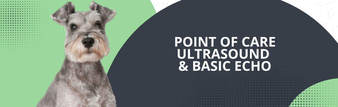 Point of Care Ultrasound & Basic Echo Workshop October 2026