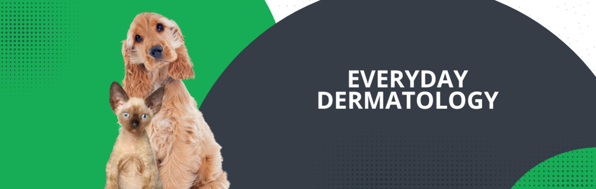 Everyday Dermatology