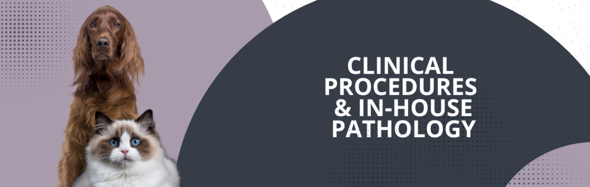 Clinical Procedures & In-house Pathology Workshop