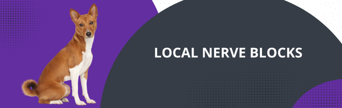 Local Nerve Blocks