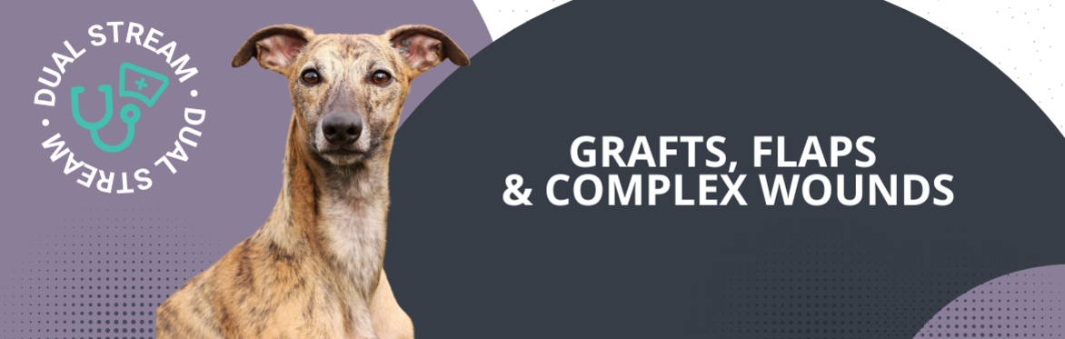 Grafts, Flaps & Complex Wounds Dual Stream Workshop 2026