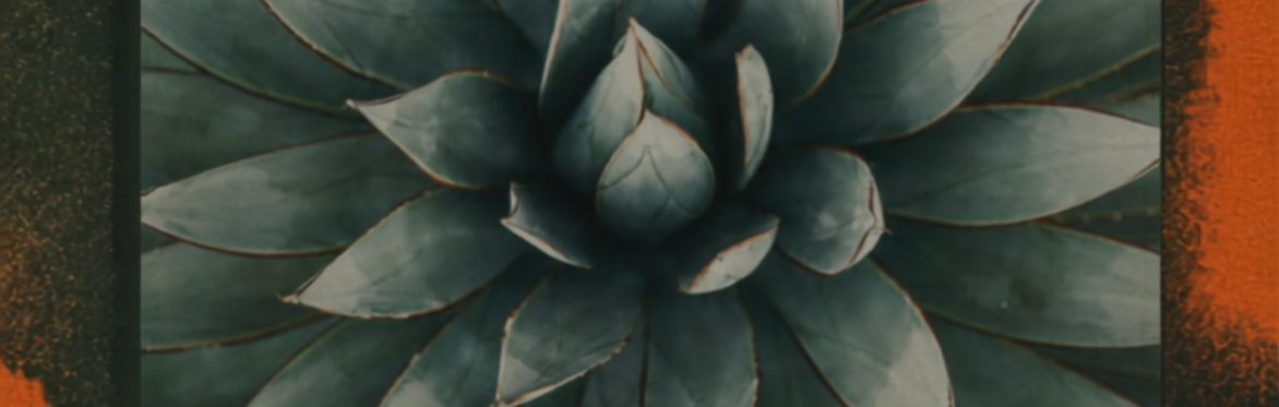 A Mezcal Tasting & Food Pairing Experience