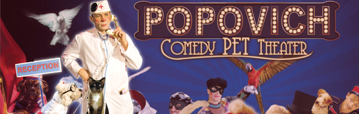 POPOVICH Comedy Pet Theater in Boston