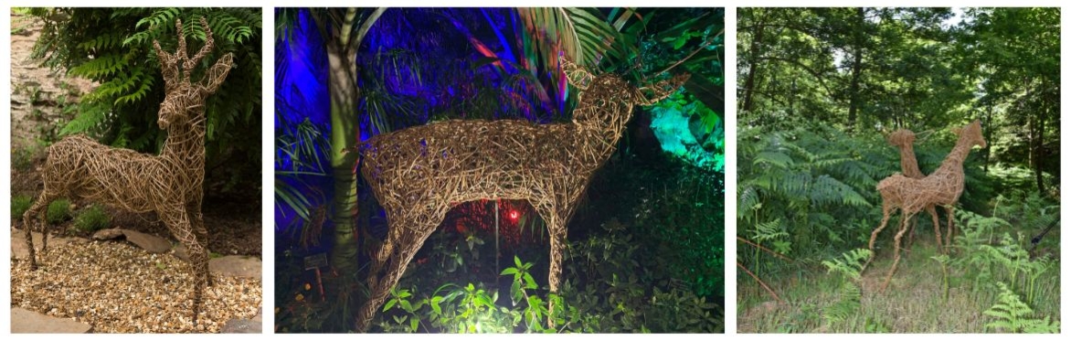 Willow Deer Workshops