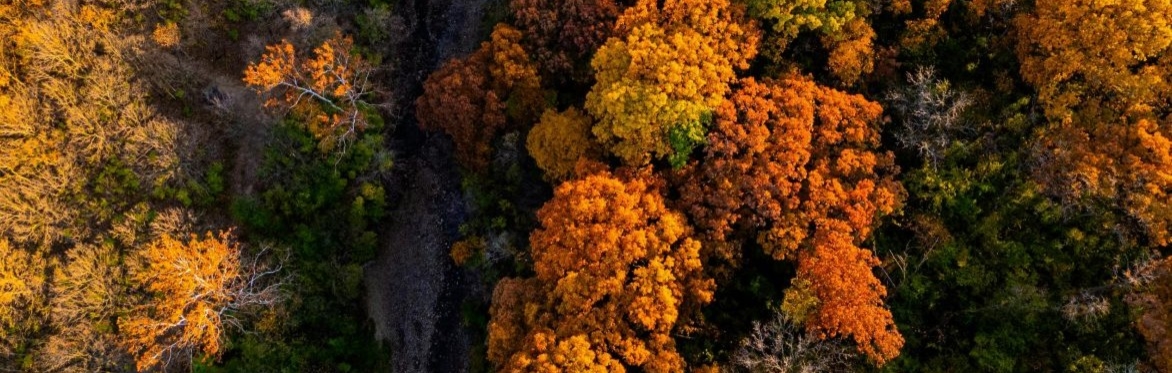 Centering People During Organizational Change and Transition (2-Part Series)