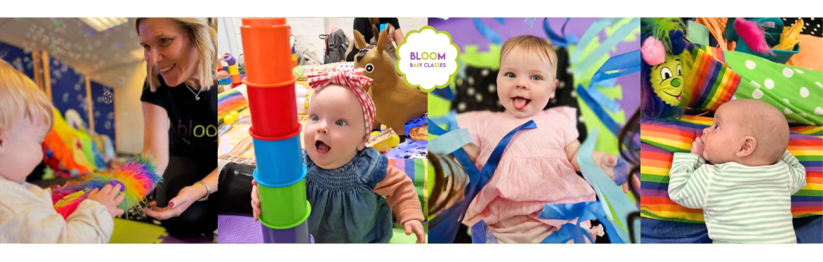 Bloom Baby Classes