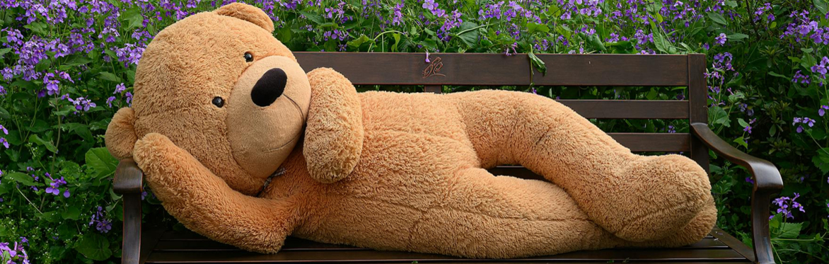 Garden Teddy Bear Hunt