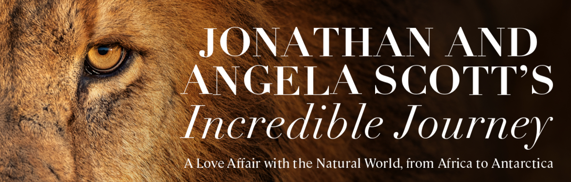 Jonathan and Angela Scott’s Incredible Journey: A Love Affair with the Natural World, from Africa to Antarctica