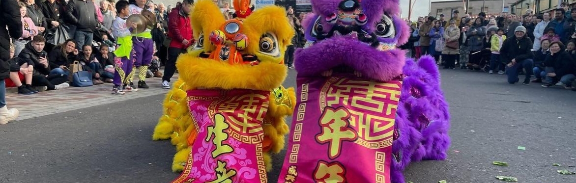 Lion Dance Workshop