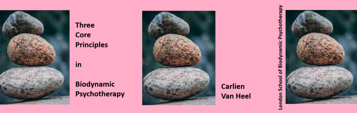 Introductory Workshop with Carlien van Heel - Three Core Principles in Biodynamic Psychotherapy