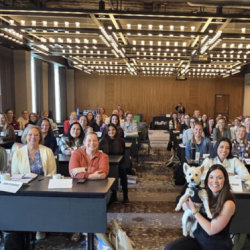 Thrive Chairside Summit, brought to you by Amber Auger