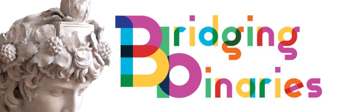 Bridging Binaries