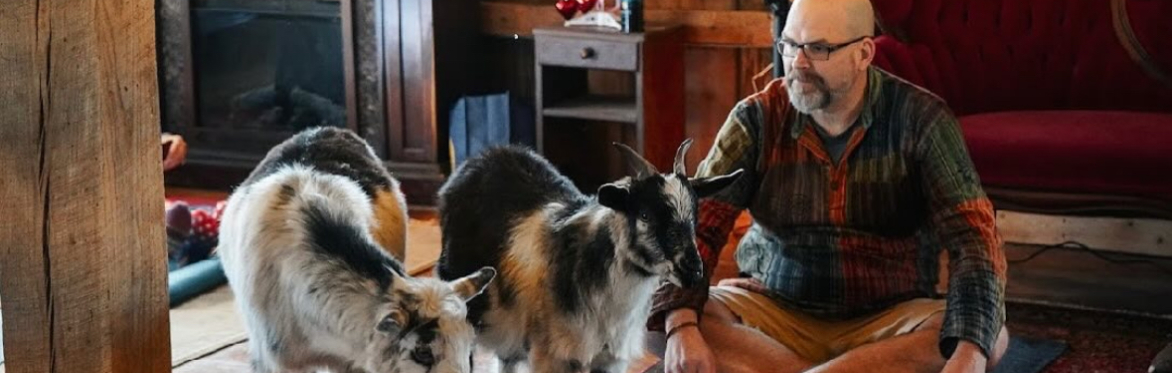 Goat Yoga (10am-11am)