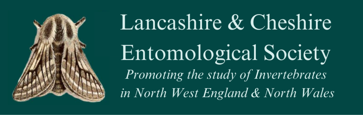 Lancashire & Cheshire Entomological Society Spring Meeting