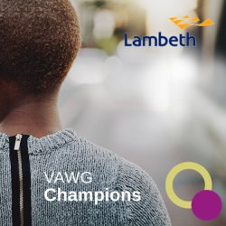 VAWG Community Champions Training (In Person) - Faith Communities Pilot Session