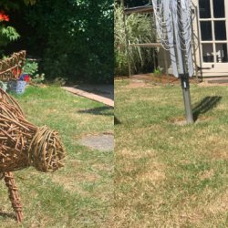 Willow Pig (or Sheep) Sculpture Workshop