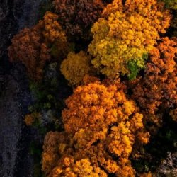 Centering People During Organizational Change and Transition (2-Part Series)
