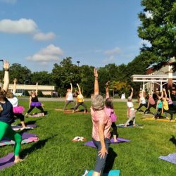 Gallery Flow: Yoga at HMA with Hickory Yoga and Wellness