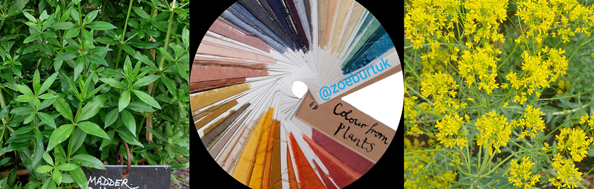 Explore Natural Dyeing with Colours from a Living Garden