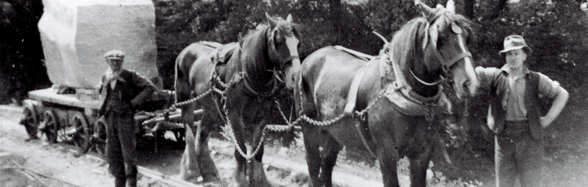 Horse drawn tram