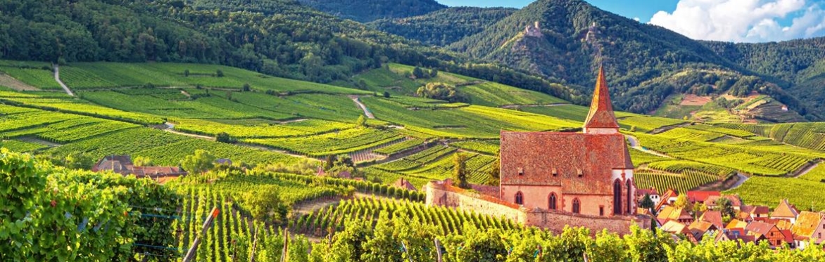 Friday Night Wine School - Exploring Alsace Through Two Historic Estates
