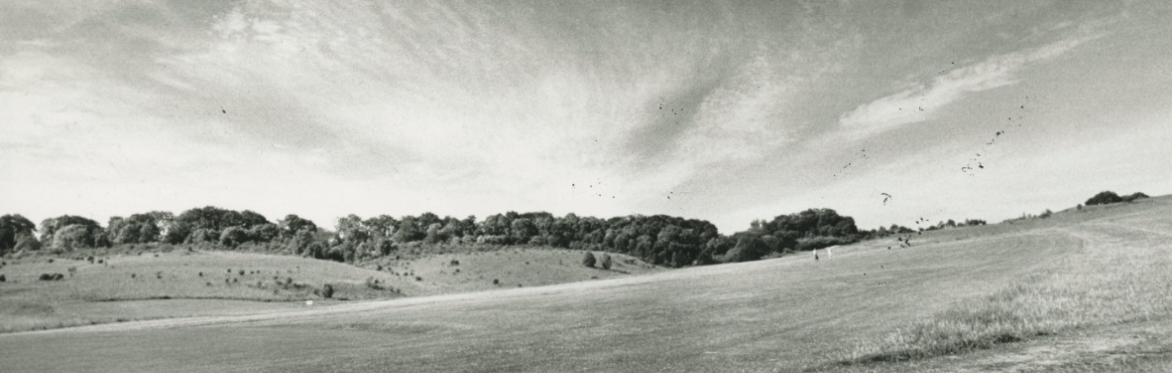 Talk: The Environment and History of Therfield Heath