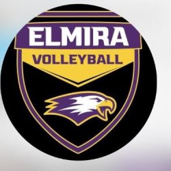 2026 Elmira College Men's Volleyball Summer Camp