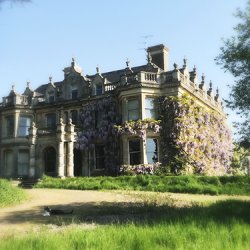 Hasfield Court - self-guided tour with tea and cake