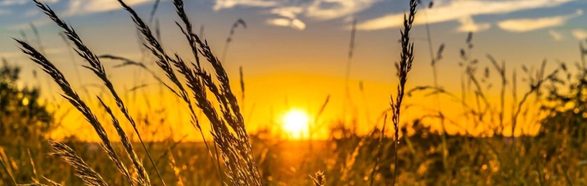 Summer Solstice Celebration