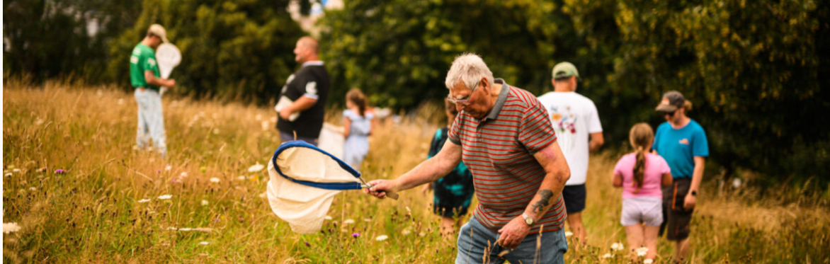 Central Park Nature Count/bioblitz