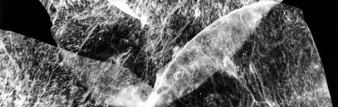 T45. Plantograms, Aquagrams and Billetograms with Francisco Macfarlane
