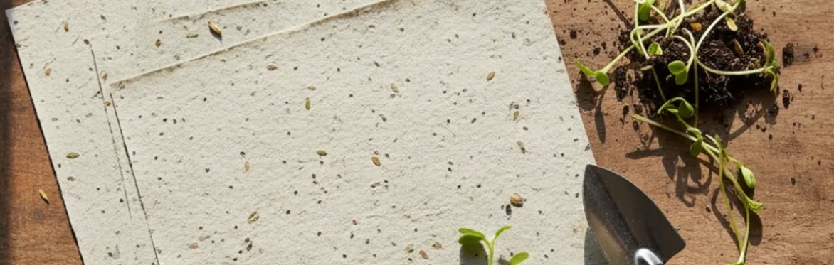 Plantable paper Workshop - Young adults