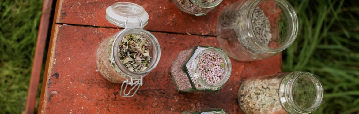 Woodland Foraging & Tea with Gem Tetley
