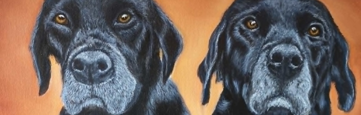 6 Week Pet Portrait Acrylics Course