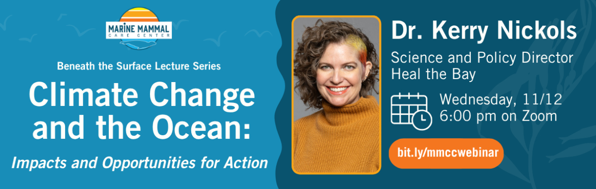 Climate Change and the Ocean: Impacts and Opportunities for Action - Webinar