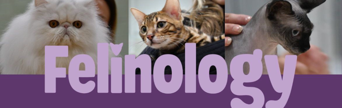 Felinology International Cat Show