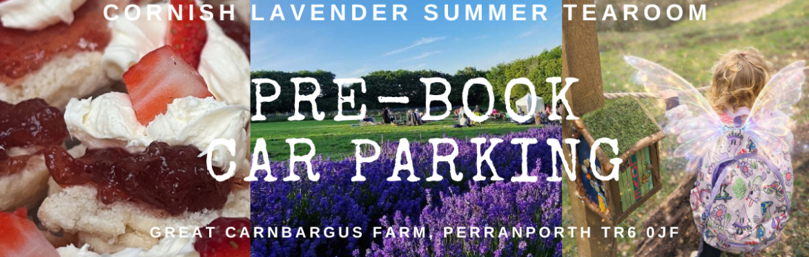 Car Parking & School Summer Holiday Activities - Summer 2026