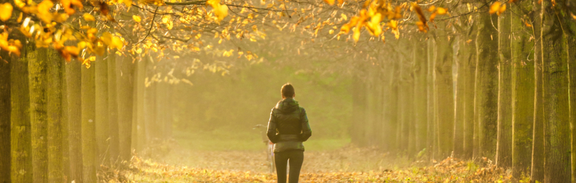 Healing The Heart - Awayday Retreat