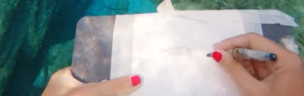 Underwater Drawing with Animator Viola Madau