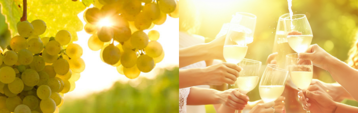 World Chardonnay Day Tasting