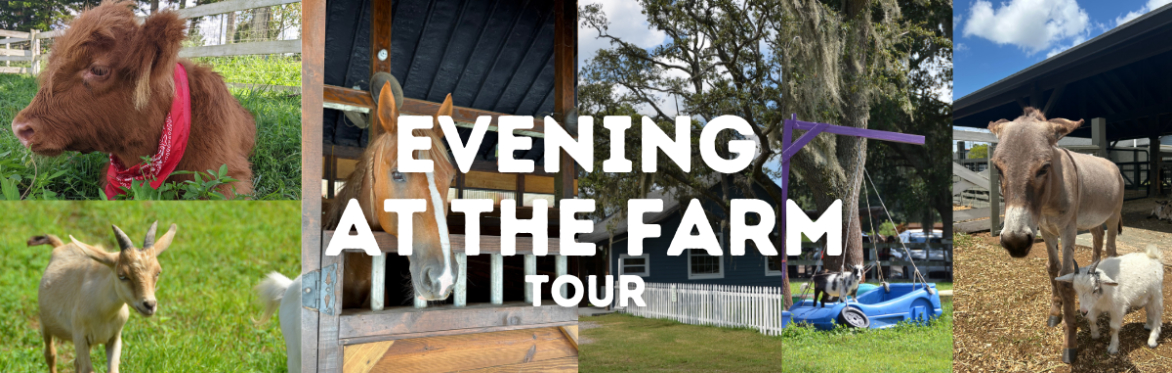 Evening at The Farm Tour